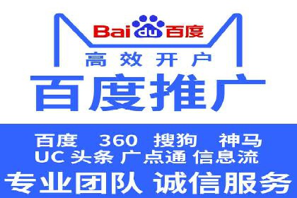 某电商平台的SEM策略与效果展示